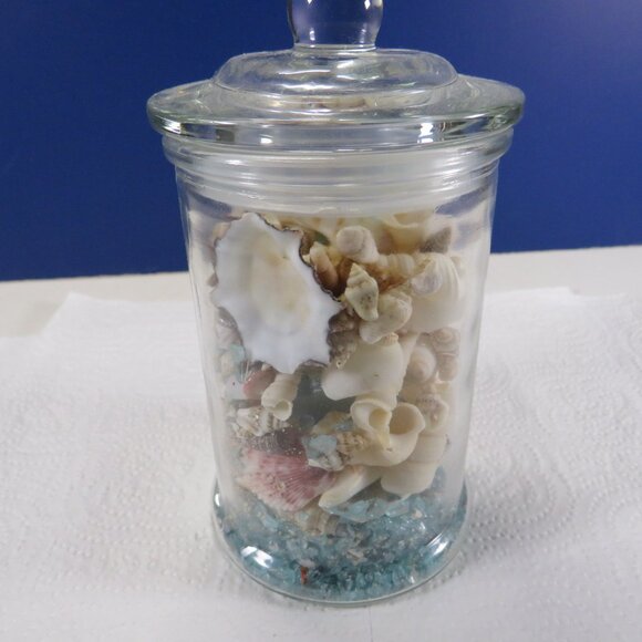 REAL sea shells in a New Glass Jar w seal & lid 5.75" tall (1+ pounds) - Picture 6 of 14